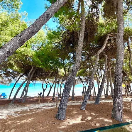 Luxury ,primera Linea De Playa